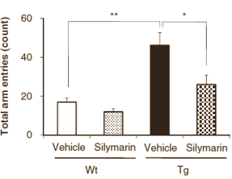 Dierstudie: Silybum marianum remt Alzheimer