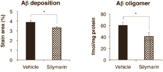 Dierstudie: Silybum marianum remt Alzheimer