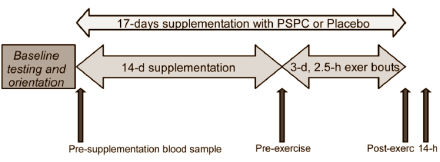 Eiwitshake met soja, groene thee en bosbessen beschermt sporters tegen virussen
