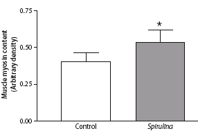 Spirulina jaagt anabolisme meer op dan caseïne