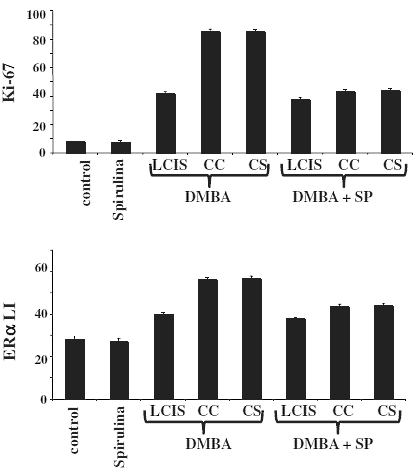 Suppletie met Spirulina platensis beschermt vrouwen waarschijnlijk tegen borstkanker. Dat schrijven onderzoekers van Sultan Qaboos University in Oman in de American Journal of Pathology. De onderzoekers veroorzaakten borstkanker in ratten door injecties met een kankerverwekkende verbinding, en zagen dat suppletie met spirulina de kans op de vorming van tumoren met een factor 7 verminderde.
