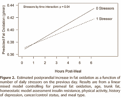 Het bewijs: stress maakt dik