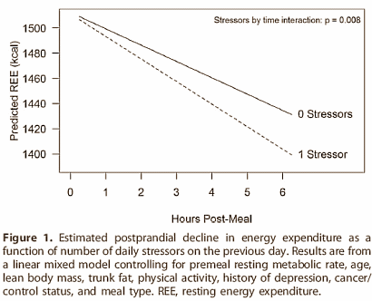 Het bewijs: stress maakt dik