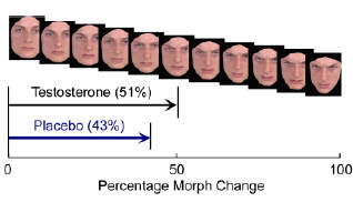 Testosteron maakt sociaal onhandig