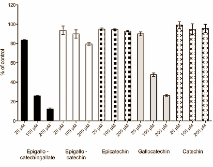 Groene thee remt aanmaak cortisol