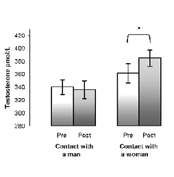 Mannen maken meer testosteron aan door aanwezigheid van vrouwen