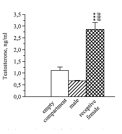 Mannen maken meer testosteron aan door aanwezigheid van vrouwen