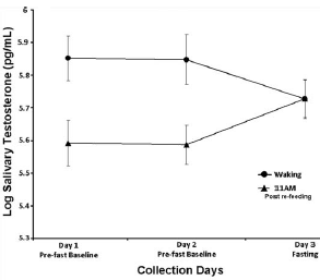 Avondmaaltijd missen? 's Morgens minder testosteron