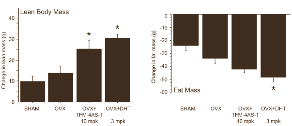 Hiernaast zie je hem: de structuurformule van FM-4AS-1. Volgens moleculaire endocrinologen van Merck Research Laboratories is FM-4AS -1 een SARM van het betere soort. De verbinding zorgt in dierstudies voor een toename van de vetvrije massa en een afname van het vetweefsel, maar is praktisch zonder effect in de huid, de prostaat en - bij vrouwelijke proefdieren - in de uterus.