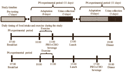 Voor krachtsporters die al een paar jaar trainen is timed nutrition belangrijker dan voor beginners