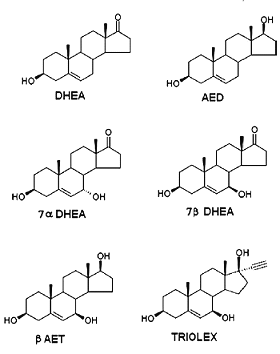 Nieuw steroid Triolex voert immuunsysteem op