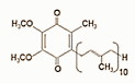 Ubiquinone (Q10)