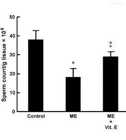 Uitlaatgassen verlagen testosteronspiegel