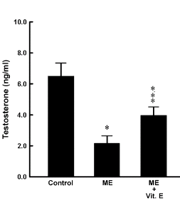 Uitlaatgassen verlagen testosteronspiegel