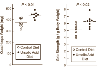 Ursolic acid: een anabool uit appels