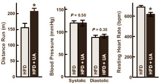 Ursolic acid is een universeel sportsupplement