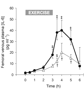 Vitamine C en E laten getrainde spiercel zuiniger omspringen met anabole factor interleukine-6