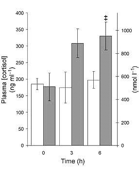 Vitamine C en E laten getrainde spiercel zuiniger omspringen met anabole factor interleukine-6