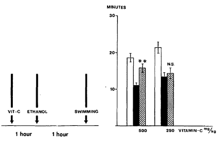 Vitamine C vermindert prestatieverslechtering door alcohol