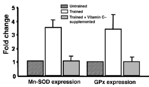 Duurtraining zinloos als je voor je training een gram vitamine C slikt