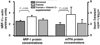 Als je je conditie wilt verbeteren, dan kun je beter geen zwaargedoseerde vitamine C-pillen slikken. Misschien kun je beter helemaal geen supplementen gebruiken die vrije radicalen onschadelijk maken. Fysiologen van de University of Valencia publiceerden in 2008 een studie waarin een dagelijkse hoeveelheid van een gram vitamine C het effect van acht weken looptraining ondergraaft.