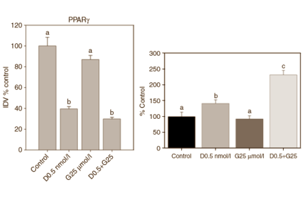 Het gezamenlijke antivetzuchteffect van vitamine D en genistene