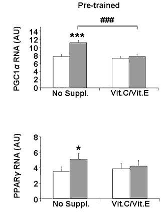 Hoge doses vitamine C en E beschermen zwembandjes tegen cardio