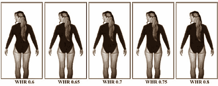 Na borstkanker blijven vrouwen aantrekkelijk en gezond door krachttraining
