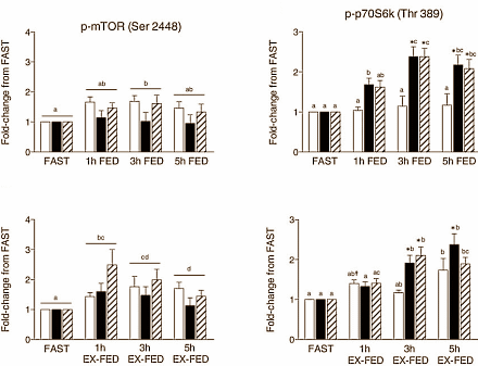 Leucine is geen wondermiddel