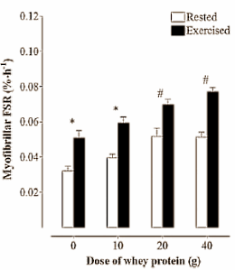 De optimale dosis whey die bodybuilders en andere krachtsporters na hun training kunnen gebruiken is 20 gram. Dat schrijven bewegingswetenschappers van de University of Stirling in Engeland binnenkort in de American Journal of Clinical Nutrition. De proefpersonen die de onderzoekers gebruikten waren vooraan in de twintig, en dus nog piepjong. De bevindingen van de Britten gaan mogelijk niet op voor oudere krachtsporters.