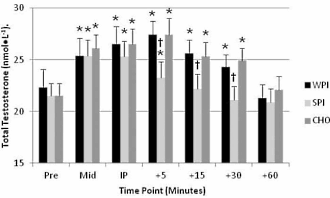 Gisteren schreven we dat krachtsporters meer vetvrije massa opbouwen als ze vlak na hun krachttraining whey innemen dan als ze soja-eiwitten of snel opneembare koolhydraten als post-workout nutrition gebruiken. De auteurs van die studie publiceerden eerder dit jaar een studie waarin wheysuppletie voor een krachttraining de rem zet op de verhoging van het stresshormoon cortisol - en suppletie met soja-eiwitten en koolhydraten niet.