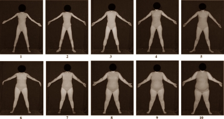 Man onder stress prefereert volle vrouw