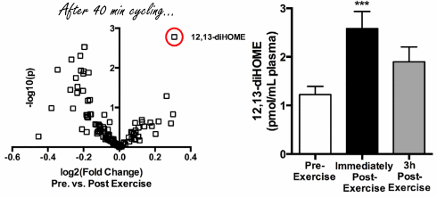 12,13-DiHOME: een nieuw afslankmiddel? Of een nieuw dopingmiddel?