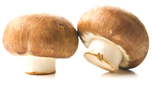 Metastudie bevestigt beschermende werking champignons en andere paddenstoelen tegen kanker