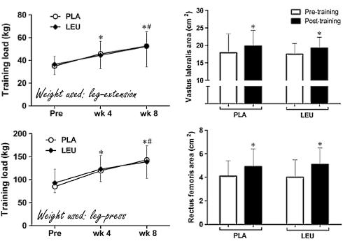 Drie gram leucine na workout (en verder niks) maakt krachtsporters niet sterker of gespierder