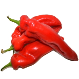 Deze stoffen in rode paprika stimuleren de verbranding van vet
