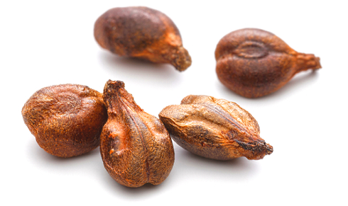 Op dieet? Een capsule Grape Seed Extract per dag verdubbelt de snelheid waarmee je vet verliest