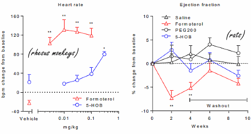 Gaat 5-hydroxybenzothiazolone clenbuterol vervangen?