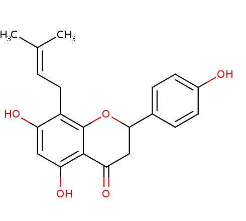 Suppletie met een extract van hop - Latijnse naam: Hupulus lumulus - vergroot bij vrouwen die de menopauze achter de rug hebben de botdichtheid. Het effect is groot genoeg om de kans op het breken van een bot te reduceren met 40 procent.