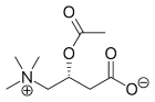 Acetyl-L-carnitine verjongt oude spieren