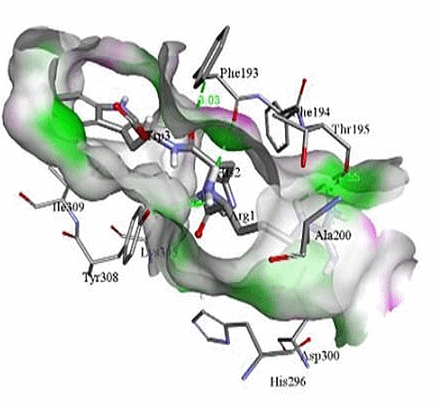 Tripeptide Arg-His-Trp | Een beta-2-agonist die (misschien) lichaamsvet laat verdwijnen en spiermassa helpt opbouwen