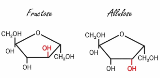 Allulose, de calorie-arme koolhydraat die de vetverbranding verhoogt