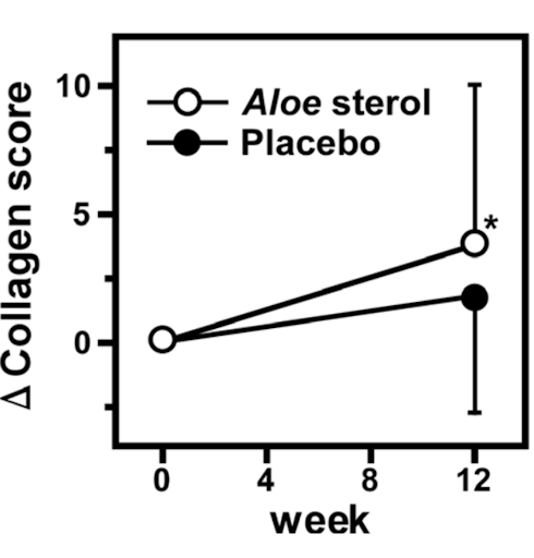 Al bij een verrassend geringe inname hebben Aloe vera-sterolen een positief effect op de huid