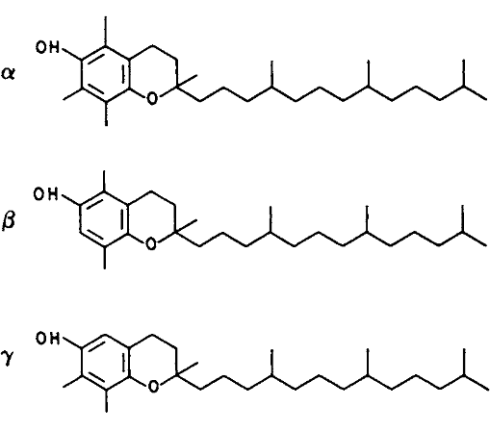 Meer vitamine E, minder dementie