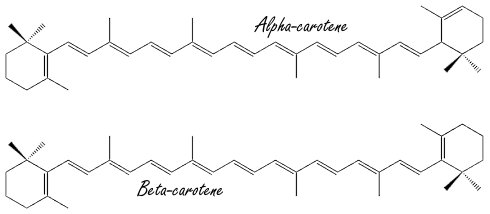 Alpha-caroteen, de levensverlenger in wortels