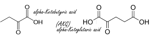 Alpha-ketoglutaraat, een metaboliet die in het lichaam en in een keur van voedingsmiddelen voorkomt, verlengt de levensduur van proefdieren en misschien ook van mensen. Een stof die in veel op alpha-ketoglutaraat lijkt, is alpha-ketobutyraat. Ook die stof maakt waarschijnlijk langer leven mogelijk, ontdekten Chinese onderzoekers.