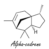 Alpha-cedrene, een volkomen nieuw soort anabool uit cederolie