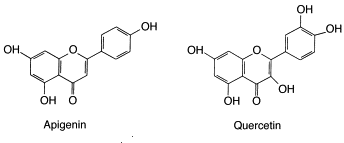 Hoe een flavonoid in peterselie de testosteronspiegel verhoogt