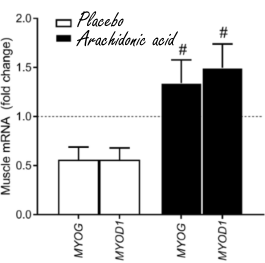 Arachidonic acid, een spierversterkend vetzuur zonder gezondheidsrisico's