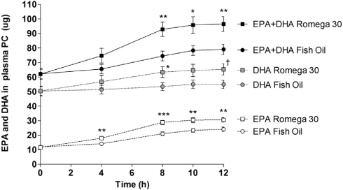 Haringkuit, een volwaardige bron van omega-3-vetzuren